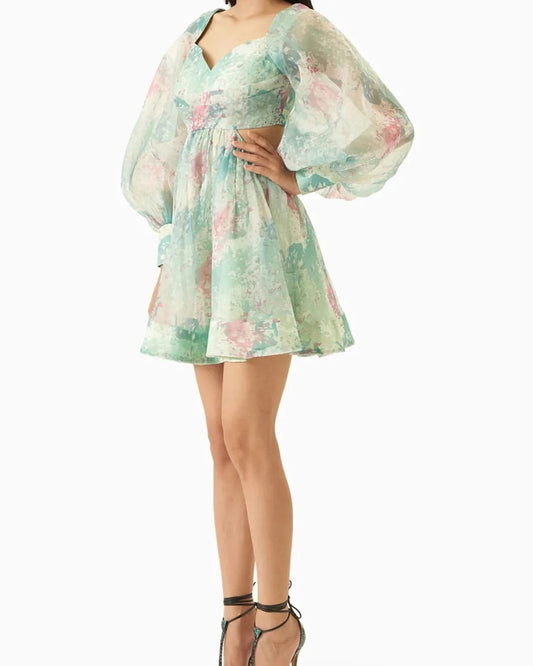 Dreamscape Mini Dress